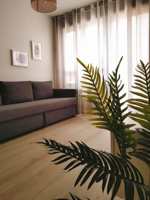 شقة La Terraza De La Vega - Ubicacion Inmejorable , Wifi , Terraza Y Parking Gratuito اوفيدو المظهر الخارجي الصورة