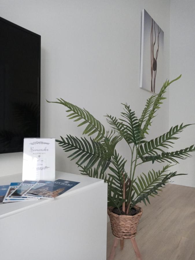 شقة La Terraza De La Vega - Ubicacion Inmejorable , Wifi , Terraza Y Parking Gratuito اوفيدو المظهر الخارجي الصورة